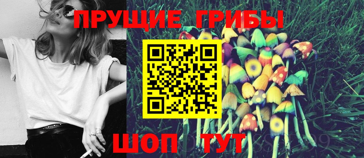 Псилоцибиновые грибы Psilocybe  Вход с VPN  Белорецк 